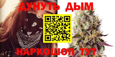 индика Кулебаки