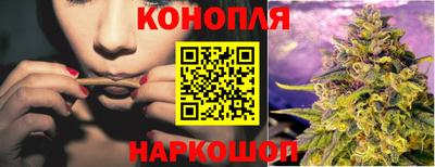 гашик Кунгур