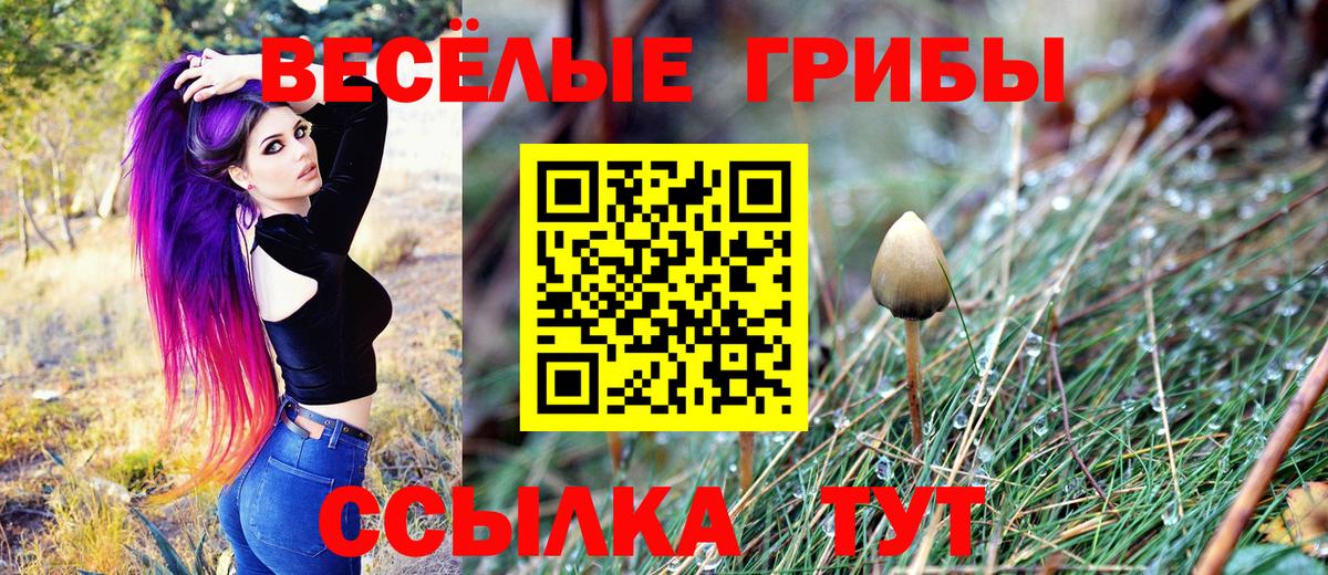 Карачаевск  Псилоцибиновые грибы мицелий  Вход с VPN 
